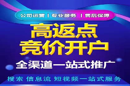 SEM竞价培训：实战案例深度解读